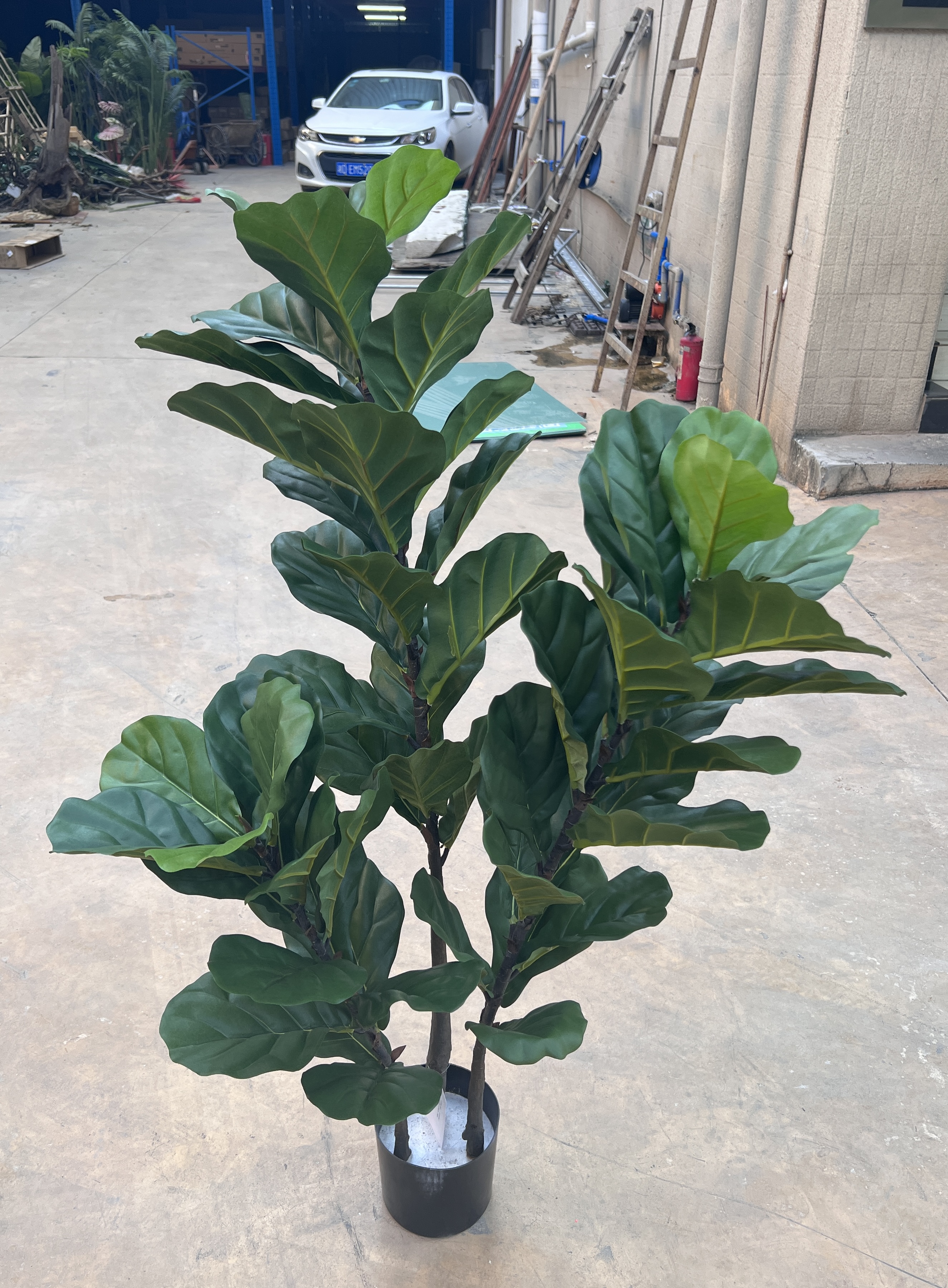 Guangzhou Haihong Gardening and Landscaping Engineering Co., Ltd – caja de regalo 4