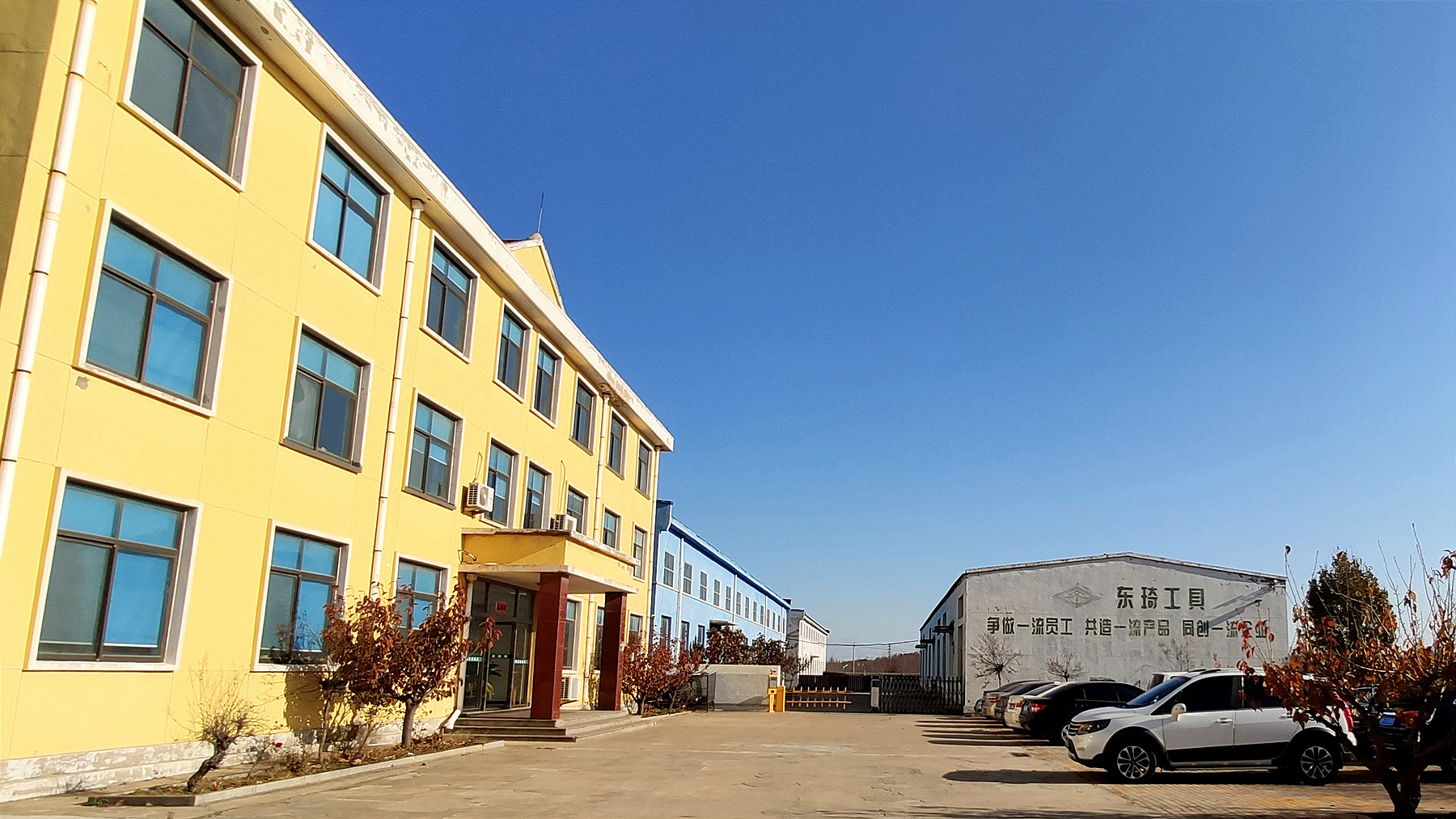 Weihai Dongqi Tools Factory – tornillo de acero 1