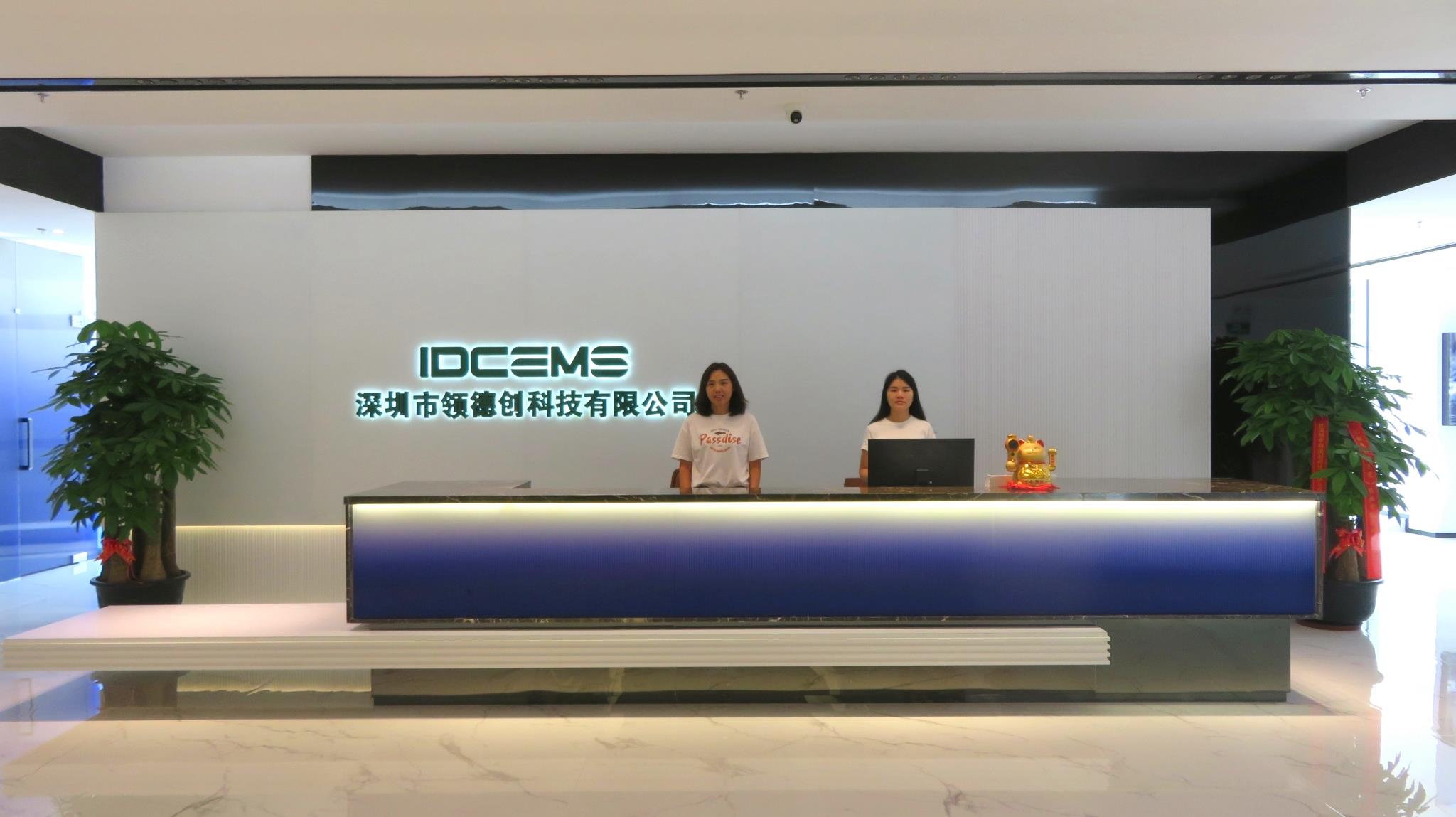 Shenzhen Lingde Chuang Technology Co., Ltd. – other consumer electronics 3
