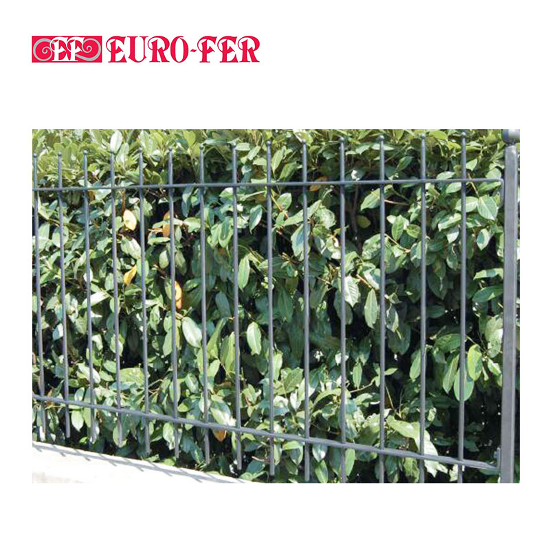 Iron fence
