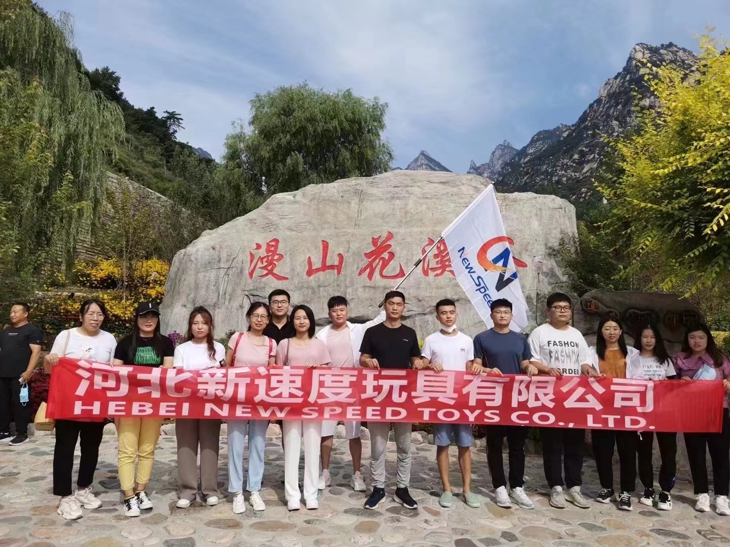 Hebei New Speed Technology Group Co., Ltd. – té negro 2