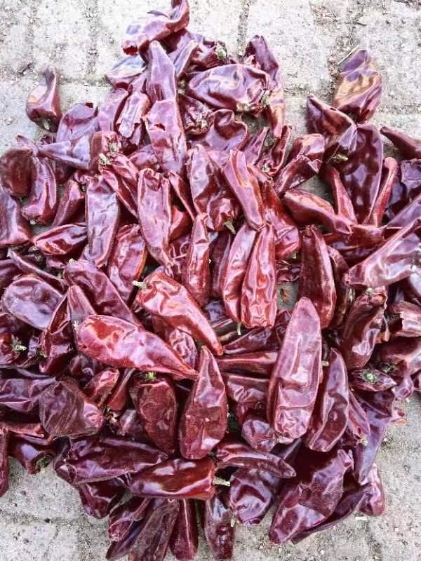 KAILU JIAOHAO FOOD CO.,LTD – Frozen chilli 3