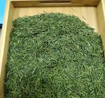Sinan Zinc Selenium Strontium Yan Tea (Group) Co., Ltd – raqueta de tenis 2