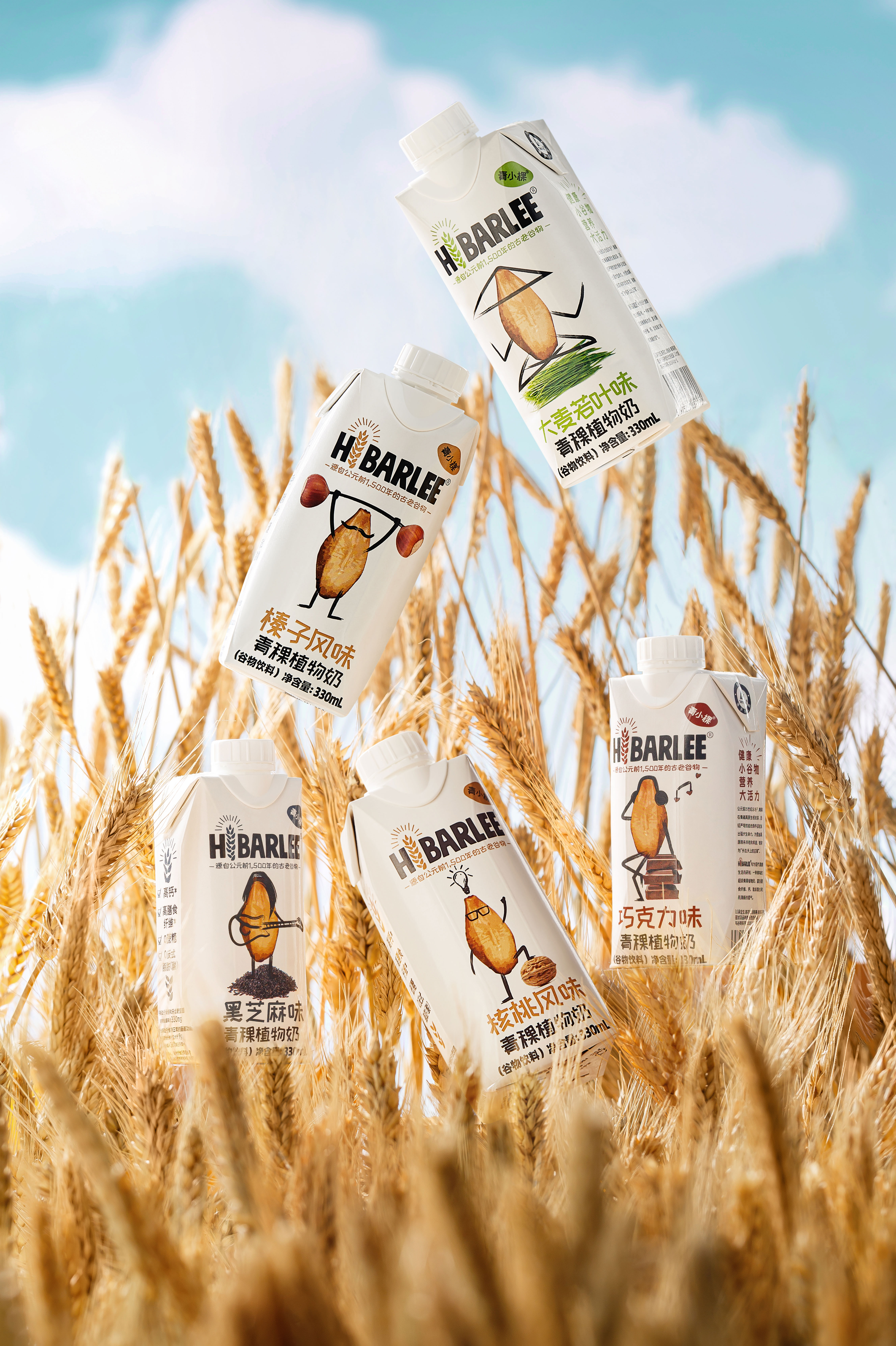 Heishui Zehe Agriculture Co., Ltd. – bicicleta de montaña 3
