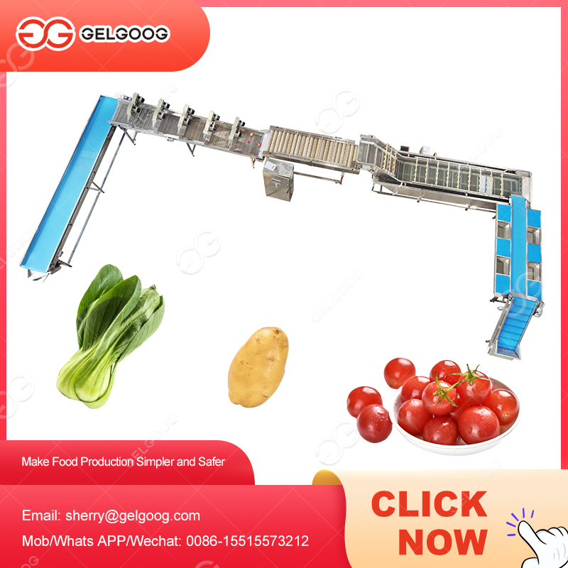 Leaf Vegetables Washing Cutting Packaging Line