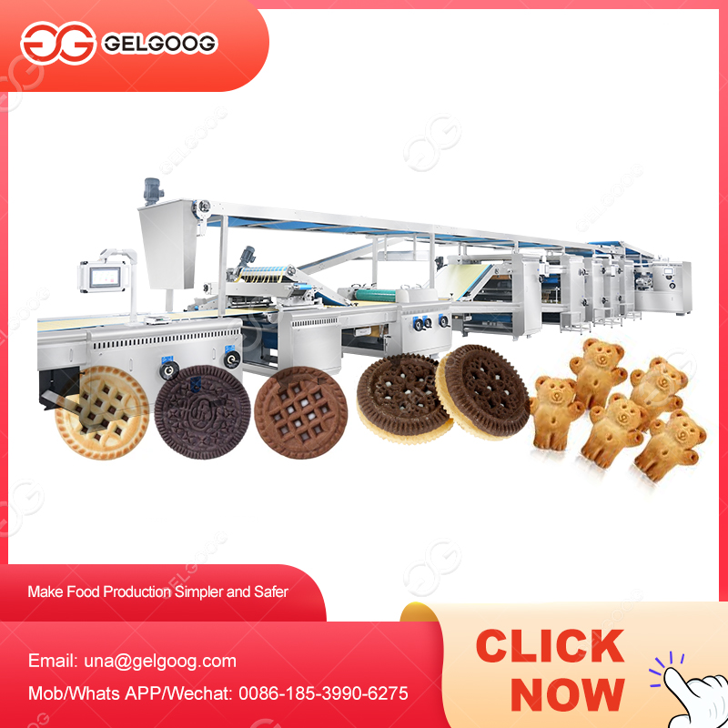 Automatic Bear Biscuit Make Cream Soda Crackers Machine Soft And Hard Biscuit Production Line
