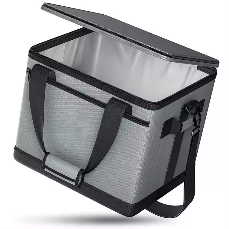 Cooler Bag Lunch Bag, Collapsible and Insulated Lunch Box Leakproof Cooler Bag for Camping, Picnic