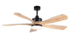 Ceiling fans