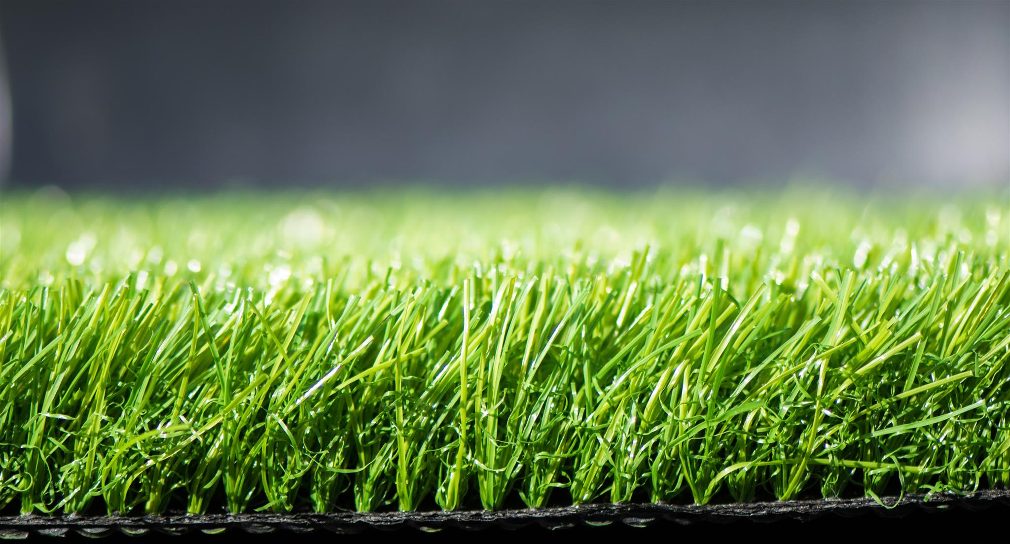 Artificial Grass