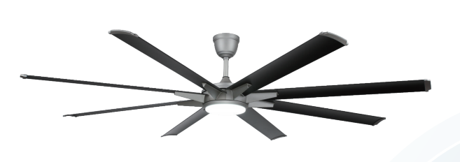 Ceiling fans