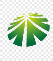 NINGBO ARTS &CRAFTS INTERNATIONAL TRADE CO.LTD