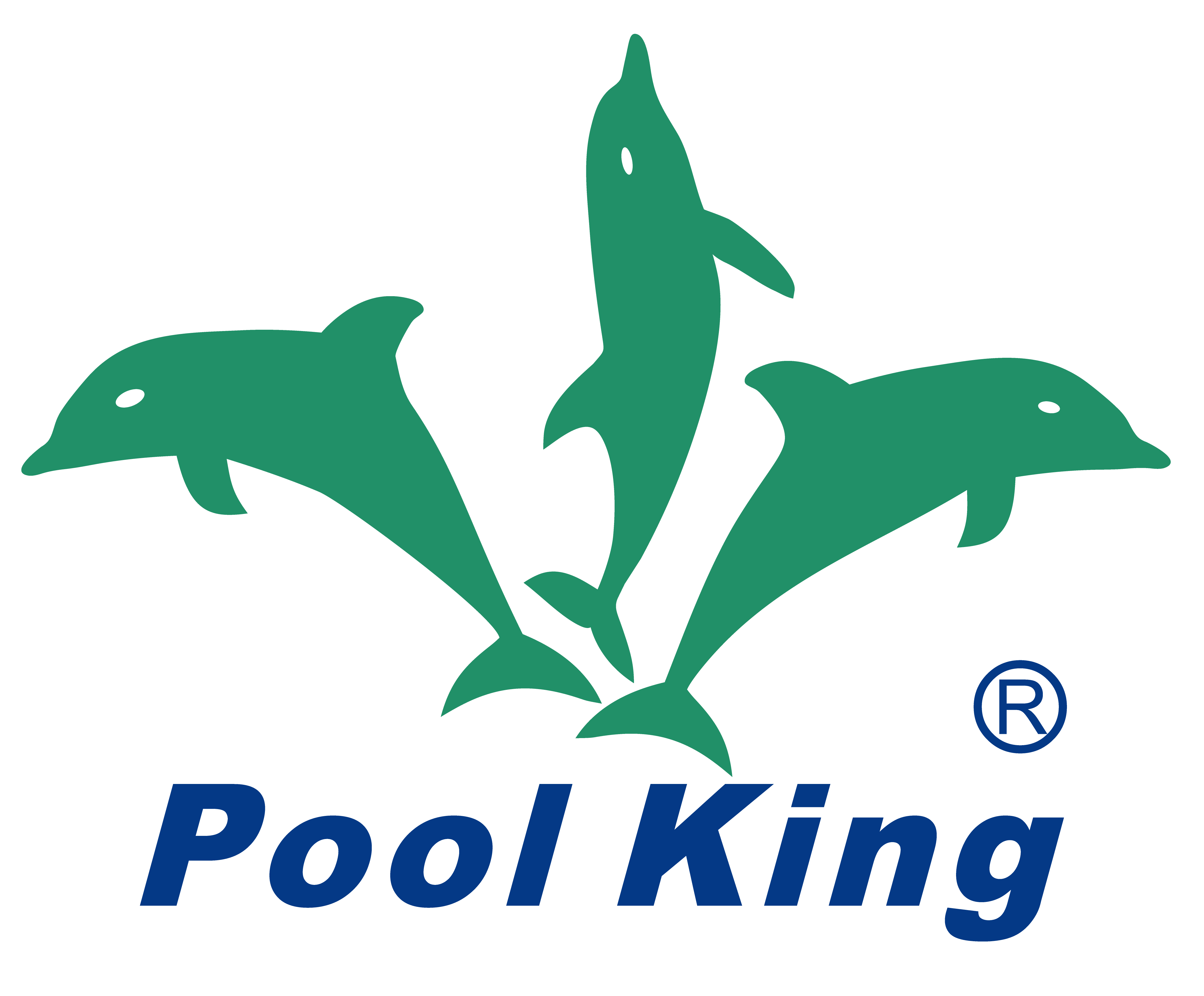 Guangdong Poolking Filtration Equipment Manufacturing Co.Ltd