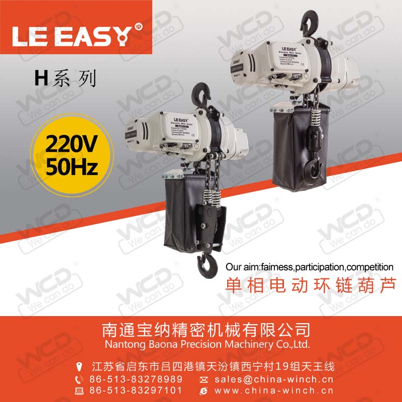 electric hoist
