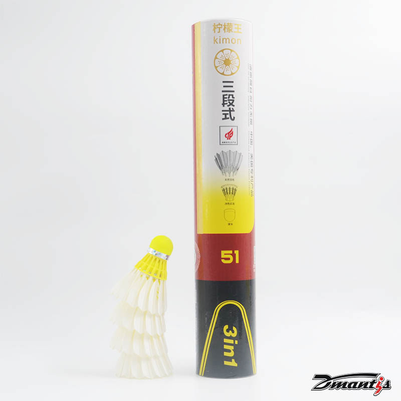 Badminton shuttlecock