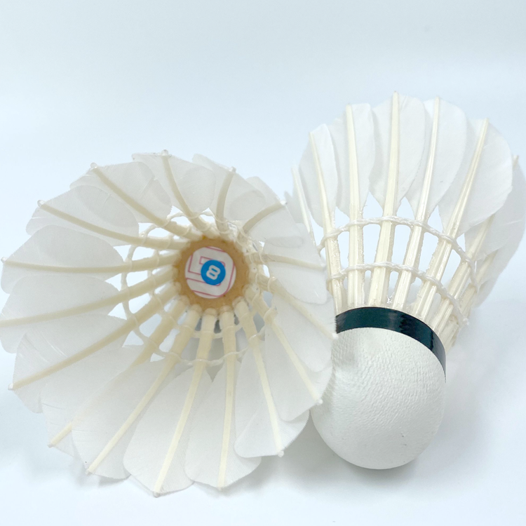 Shuttlecock