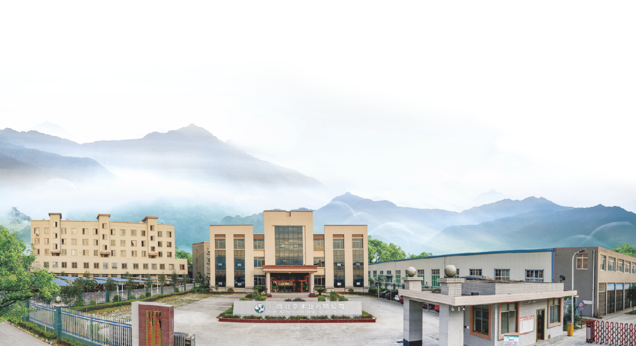 Guangxi Zhuangxiang Timber Co., Ltd. – Finger-jointed board/glued wood 1