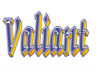 Yancheng Valiant Fashion Co., Ltd.