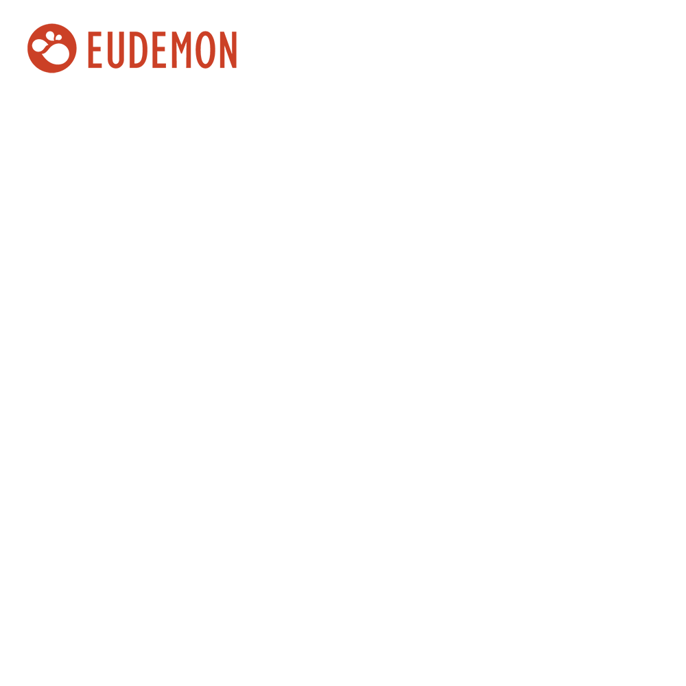 Ningbo Eudemon Child Protective Equipment Co.,Ltd.