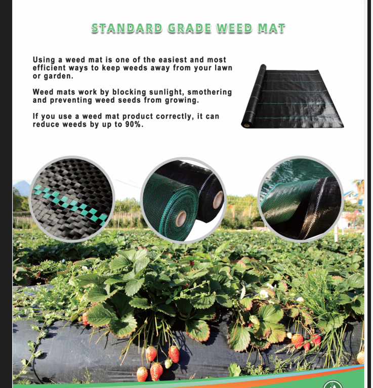 GUANGXI VIDAL BYVIEW INTERNATIONAL COMMERCE CO.,LTD – vela aromática 2