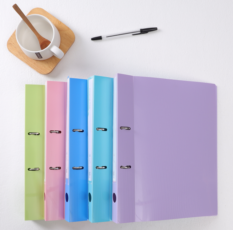 2 “D” ring clip file with paper bail