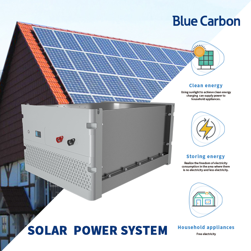 Blue carbon Technology Inc. – Africa 1