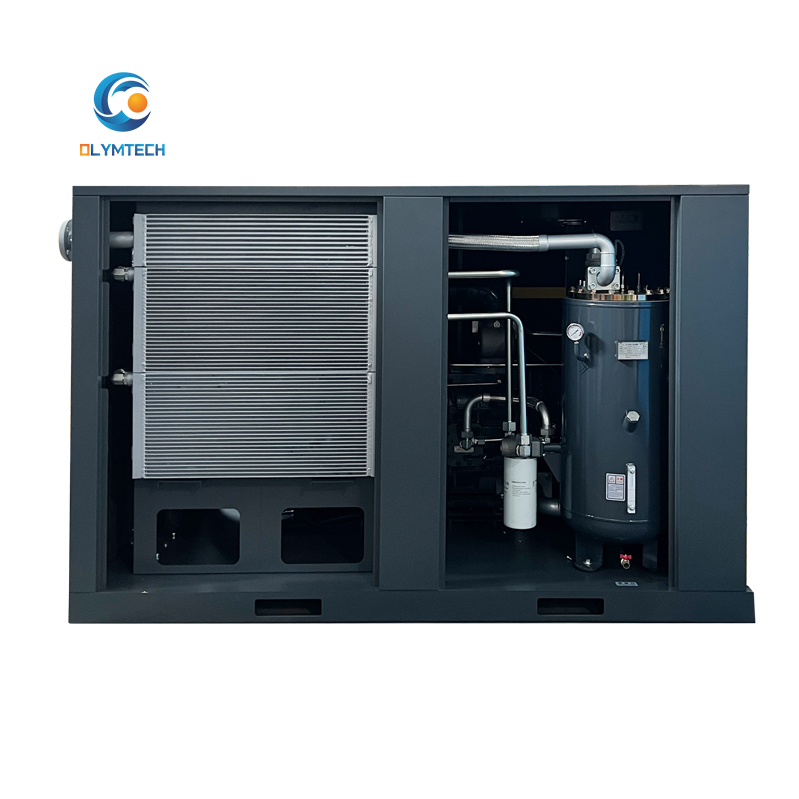 2TF55 SERIES Two stage compressed air compressor