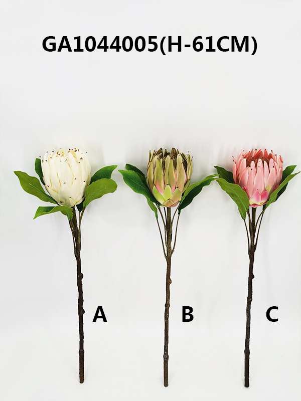 Single protea