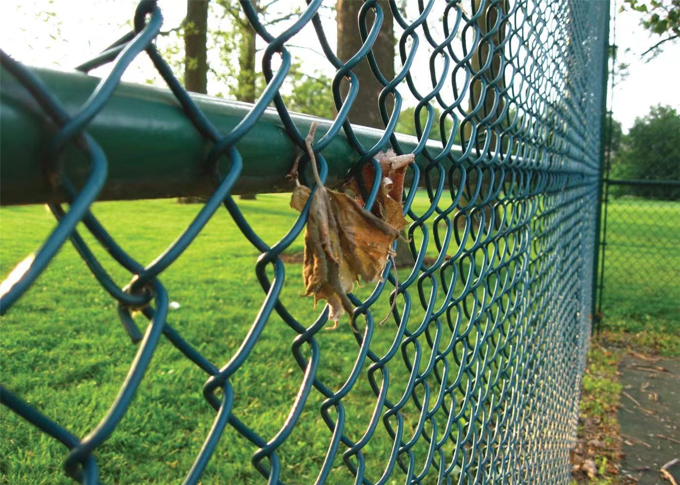 Chain link fence