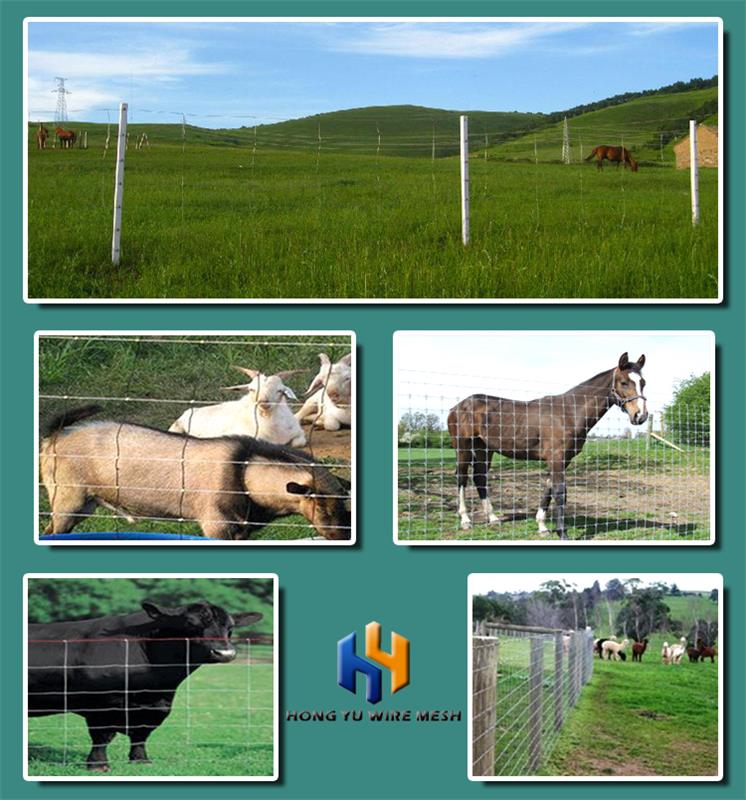 Farm fence