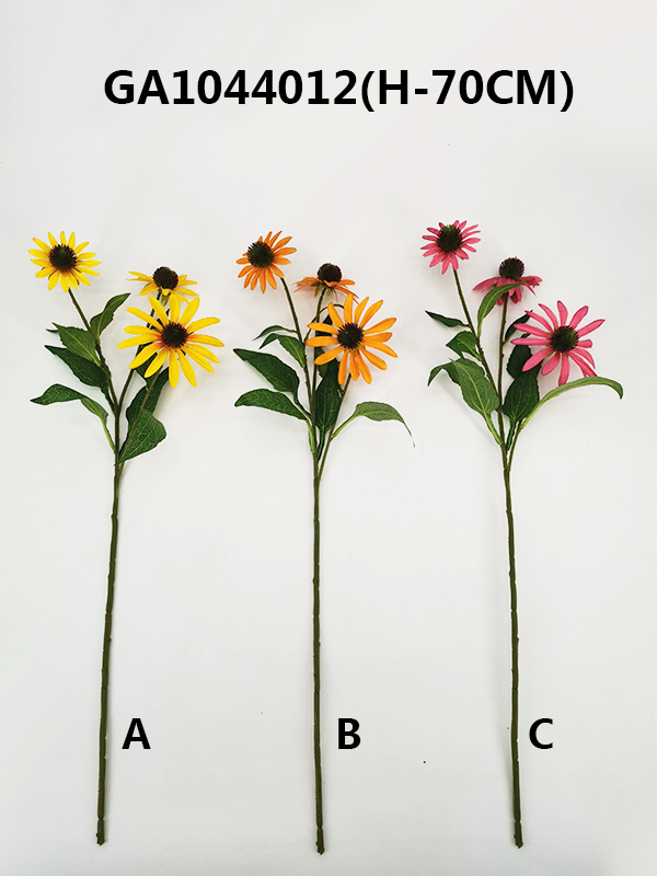 Single coneflower(H-70CM)
