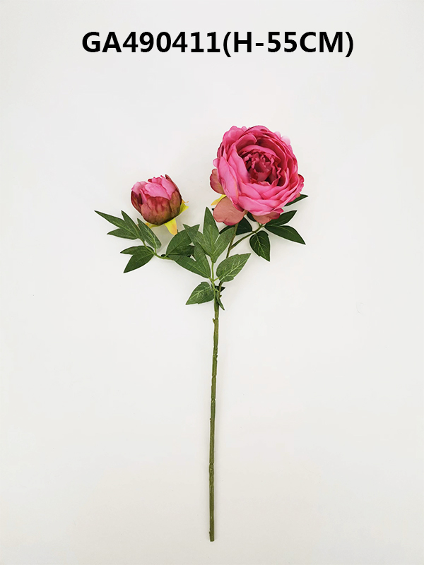 Single peony*2