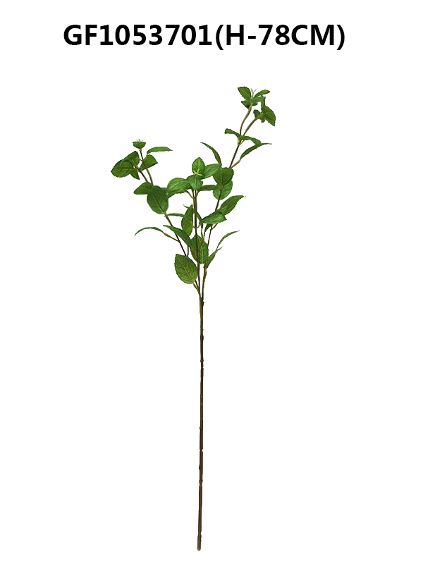 Single basil leaf