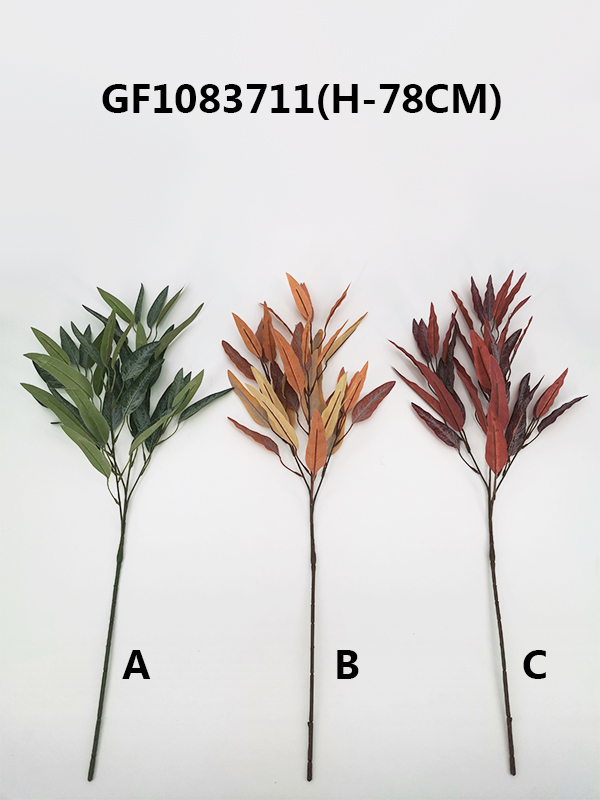 Single eucalyptus leaf