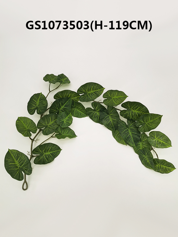 Dieffenbachia garland