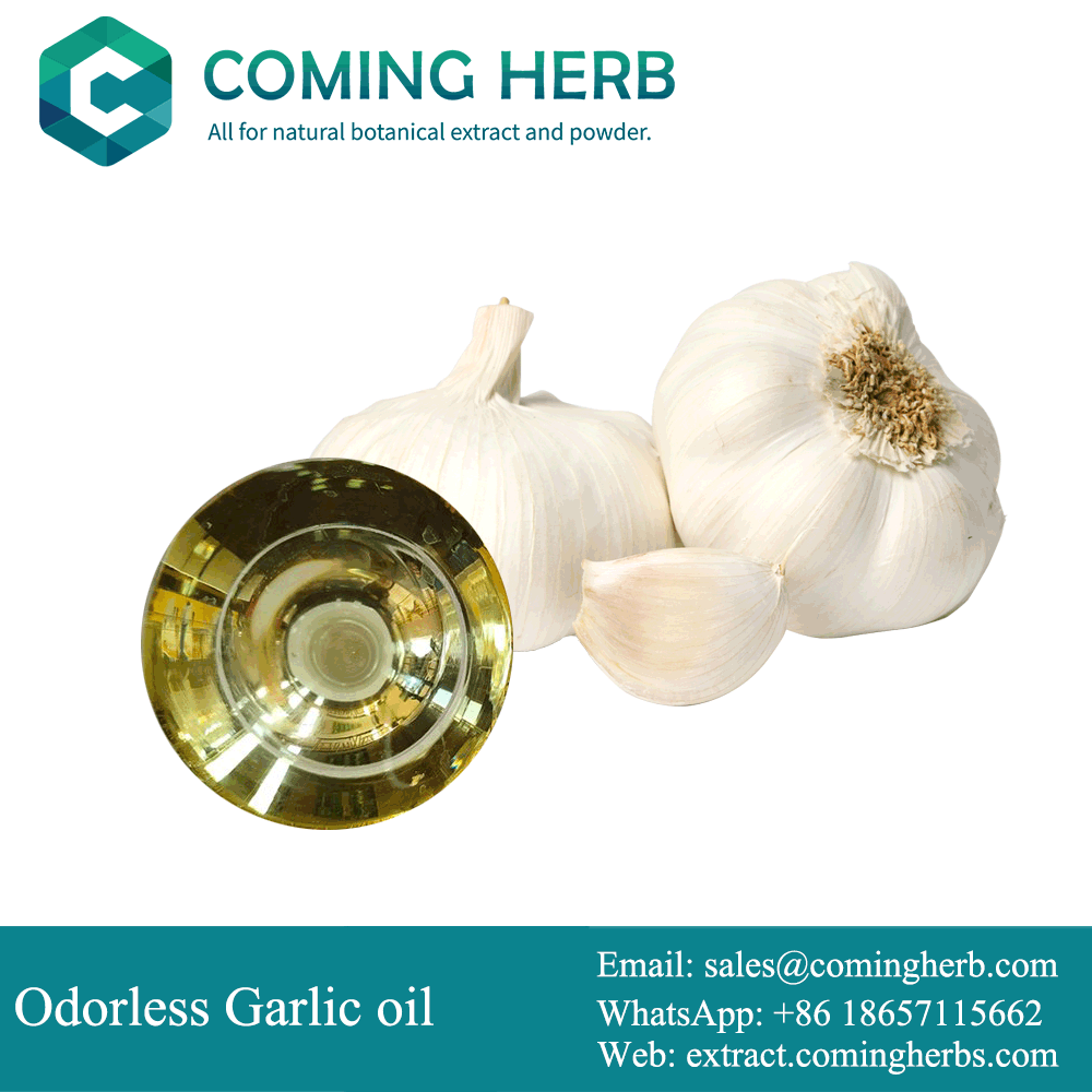 HangZhou Coming Herb Biotech Limited – Lucid ganoderma 3
