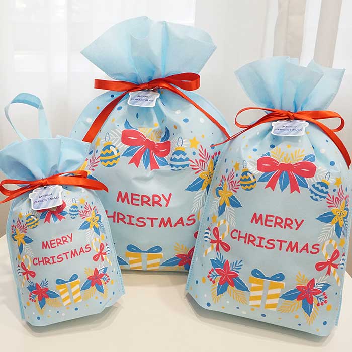 Christmas Wreath Pattern Blue Gift Bag