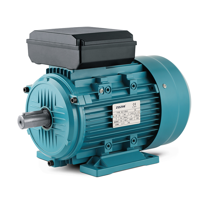 ML single phase motor