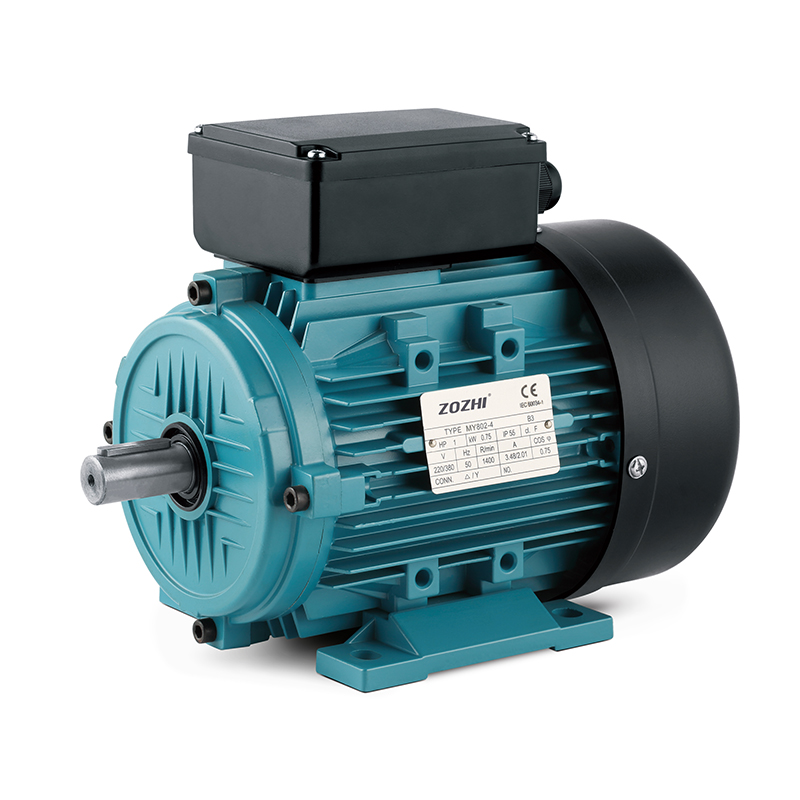 MY single phase motor