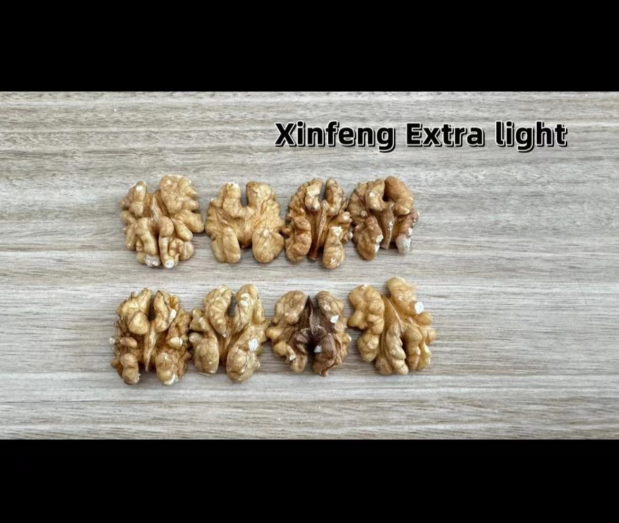 Gansu Qianli Silk Road International Trade Co., Ltd – colchoneta de yoga 4