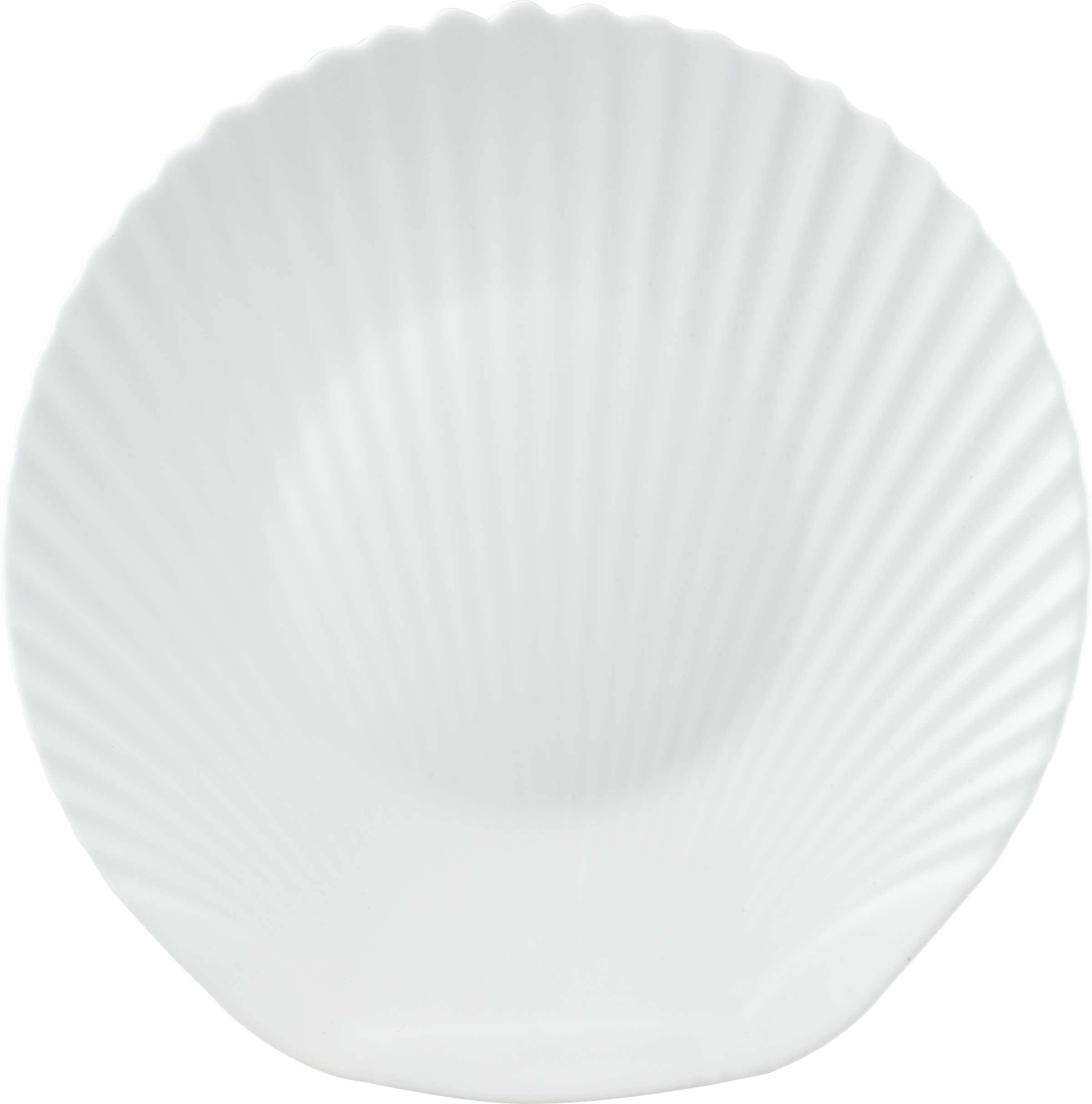 Opal glass plate with shell series