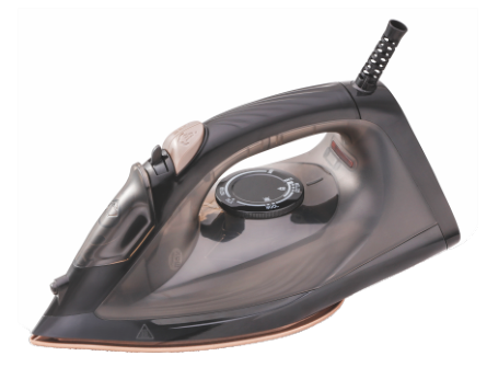 Steam iron