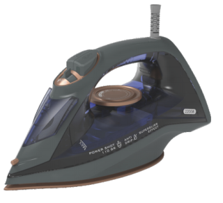 Steam iron