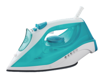 Steam iron