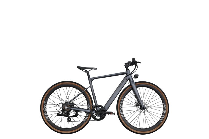 ZHEJIANG FEISHEN VEHICLE INDUSTRY CO., LTD – cadena de bicicleta 1