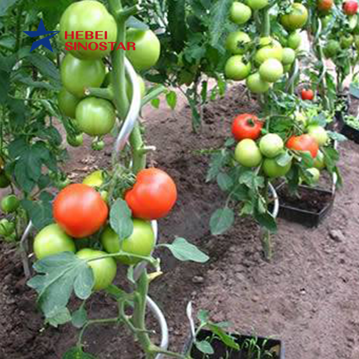 Galvanized Metal Growth Spiral Tomato Support