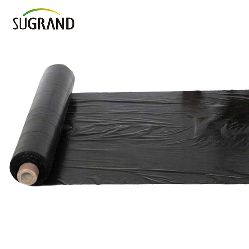 Mulch film, weed control film, agricultural mulch film, biodegradable mulch film, black mulch film