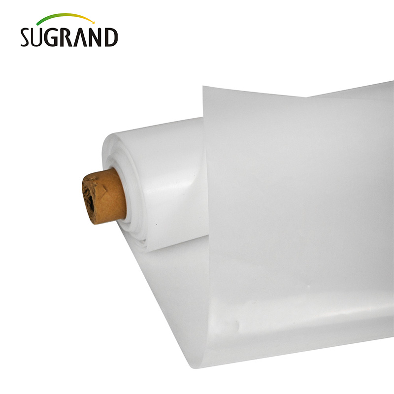 Greenhouse film, uv greenhouse film, polythene greenhouse film, agriculture greenhouse film
