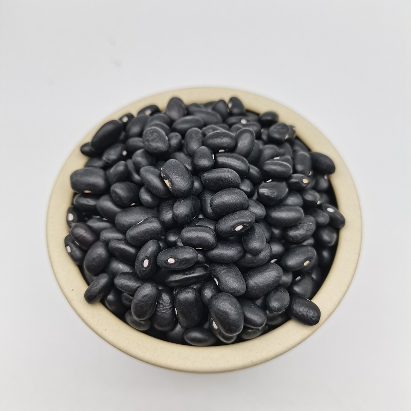 black kidney bean
