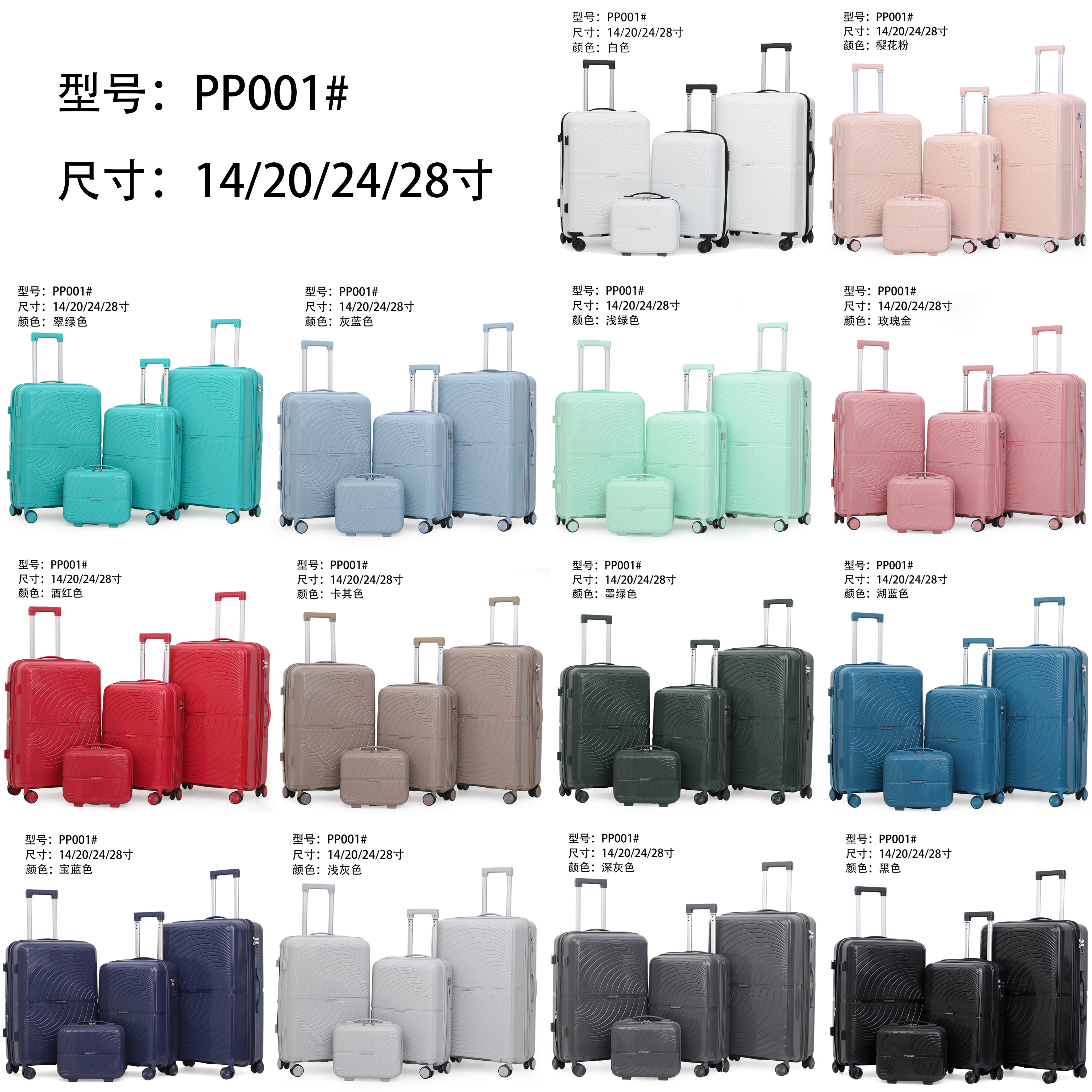 PP luggage