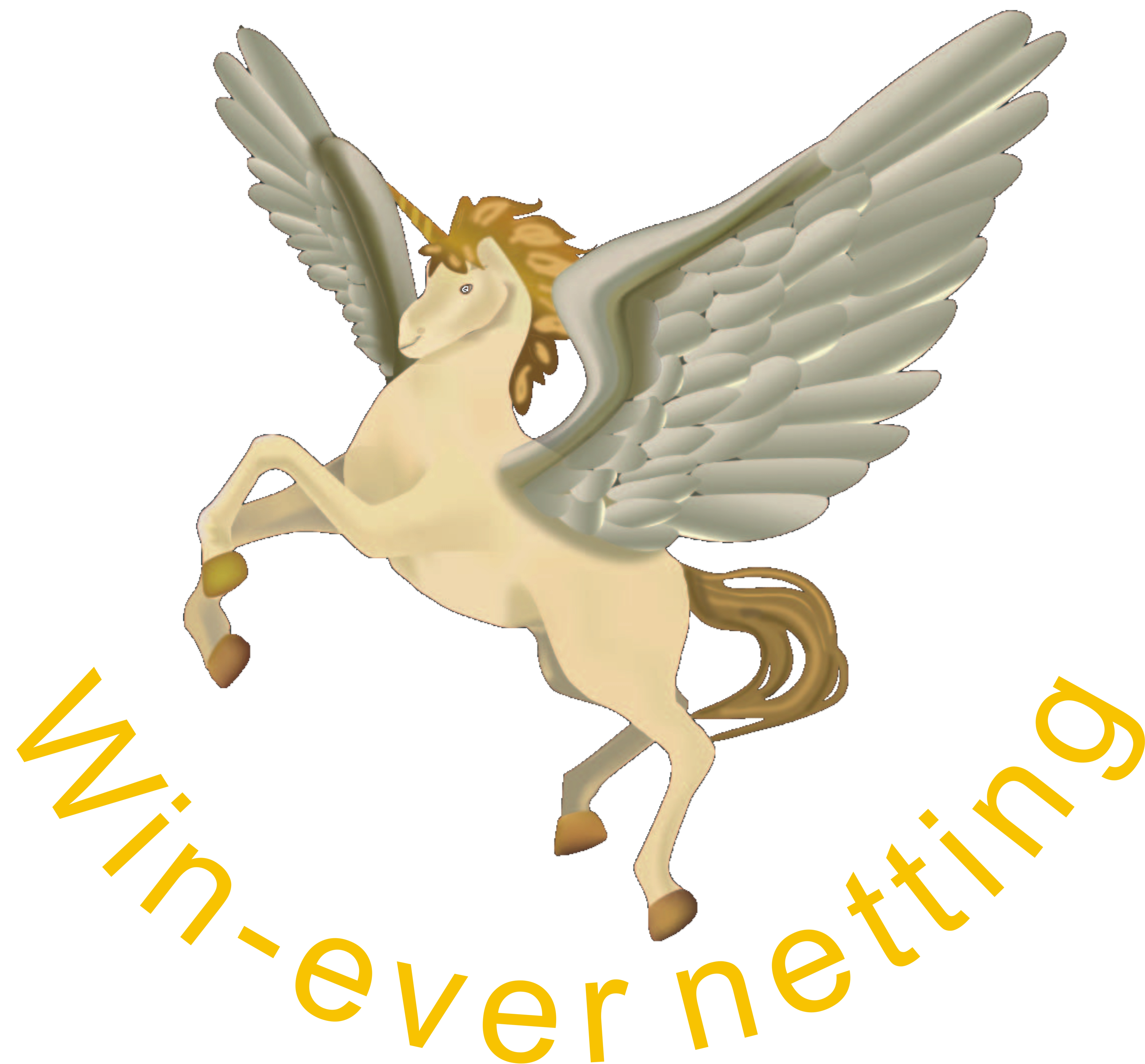 Shaoxing Hengwen Mesh Fabric Co., Ltd.